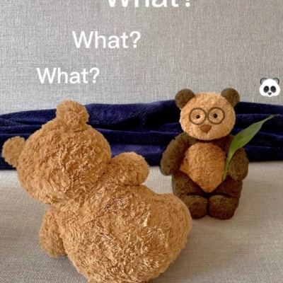 乐鱼app登录入口