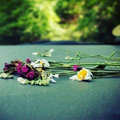 爱乐透彩票门户