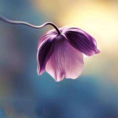 经典牛牛下载手机版