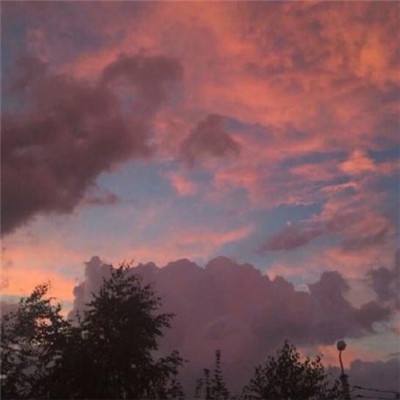 雷竞技下载app官网