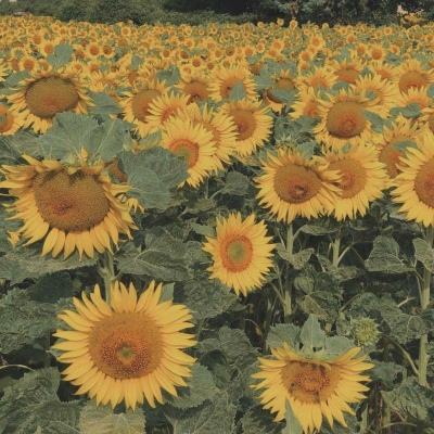 一分钟彩票极速赛车