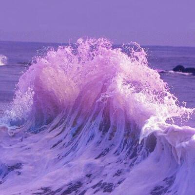 澳门新莆京游戏大厅手机app下载